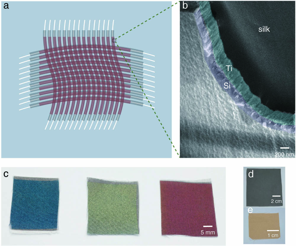 (a) Illustration of the proposed bilayer for realization of structural color on white silk. The white line represents silk, while the gray line represents silk coated by a Ti layer, and the dark red line represents silk coated with a Ti–Si bilayer structure. (b) SEM image of the Ti–Si bilayer on a single fiber. The Ti layer is marked by cyan, and the Si layer is marked by purple. (c) Photograph of cyan, olive, and brick red coatings on white silk. The thickness of the Si layer is 54 nm, 87 nm, and 120 nm with the Ti layer fixed at 100 nm. (d) Photograph of silk fabric with a Ti layer thickness of 100 nm. (e) Photograph of 105 nm Si layer on white silk.