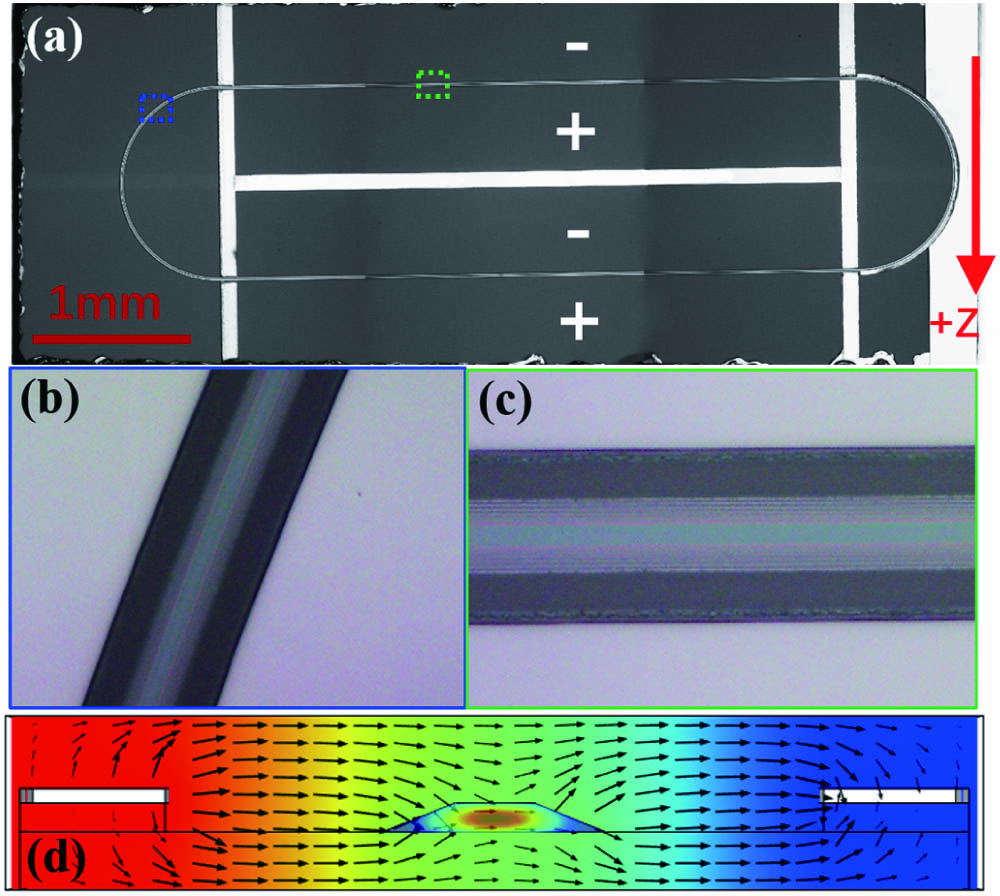 (a) Top view optical micrograph of the on-chip LN racetrack resonator integrated with Cr electrodes. Zoom-in optical micrographs of the (b) curved and (c) straight waveguides. (d) Distributions of the optical (TE) field and electrical field overlapping each other simulated using COMSOL. The arrows indicate the direction of the electric field.