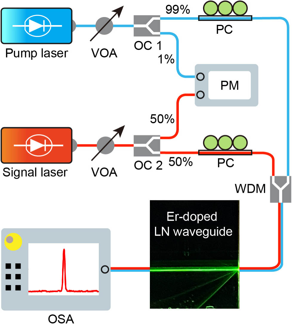 Experimental setup for gain characterization in erbium-doped LNOI waveguide amplifiers. VOA, variable optical attenuator; OC, optical coupler; PM, power meter; PC, polarization controller; WDM, wavelength division multiplexer; OSA, optical spectrum analyzer. The photograph of the erbium-doped LNOI chip clearly shows the generated green fluorescence propagating along the straight waveguide.