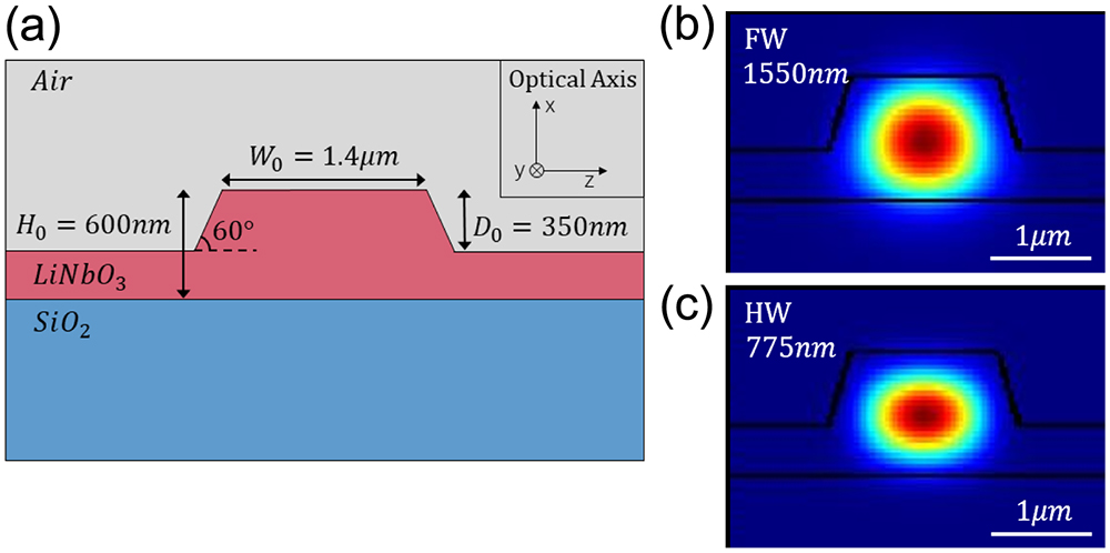 Structure and mode simulation of the LNOI waveguide. (a) Cross-section structure of the LNOI ridge waveguide (H, thickness; W, top width; D, etching depth). Optical mode profiles (energy density) for fundamental TE modes at (b) 1550 nm and (c) 775 nm.