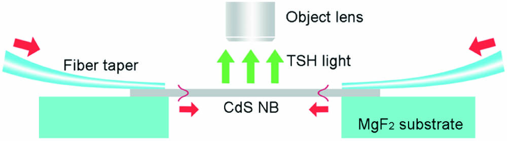 Schematic diagram of the experiment. CdS NB is placed across a slit of two MgF2 to avoid influence from substrates.