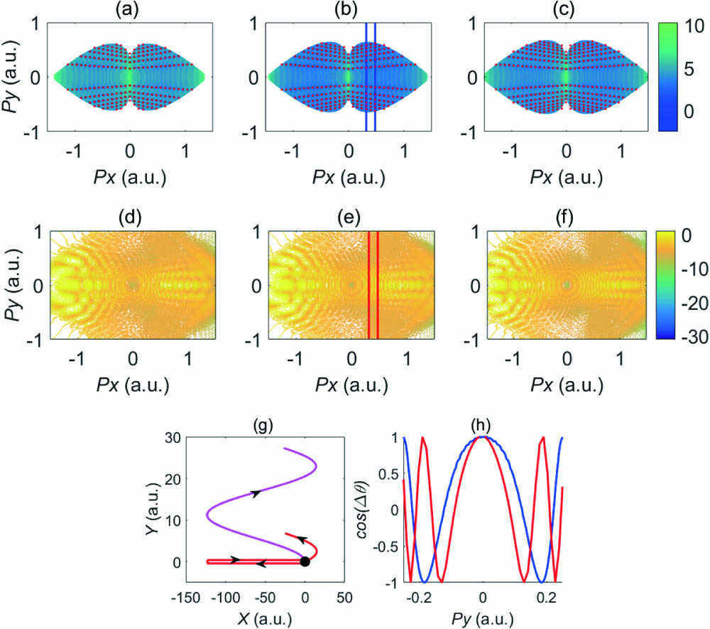 Photoelectron momentum distributions of hydrogen atoms simulated by (a)–(c) the semiclassical rescattering model (SRM, α is set to zero; red dots on the interference minima are just for guiding the eyes) and (d)–(f) TDSE. Because there are not many optical cycles in the pulse, the TDSE results are asymmetric with respect to the px = 0 axis. The top two panels correspond to wavelengths of (a), (d) λ=1900 nm, (b), (e) λ=2000 nm, and (c), (f) λ=2100 nm, respectively. (g) Typical trajectories that form the spiderlike structure in the SRM: the parent ion is at the origin of the axis. The pink curve is the reference trajectory, and the red curve is the signal trajectory. A scattering angle of 5° is assumed for the signal trajectory. (h) Cut-plot curves taken at px = 0.4 a.u. for the SRM (blue) and TDSE (red), and the cut positions are marked by the colored vertical lines in (b) and (e). Intensity of the laser pulse is I = 4×1013 W/cm2, and the pulse duration is two optical cycles.