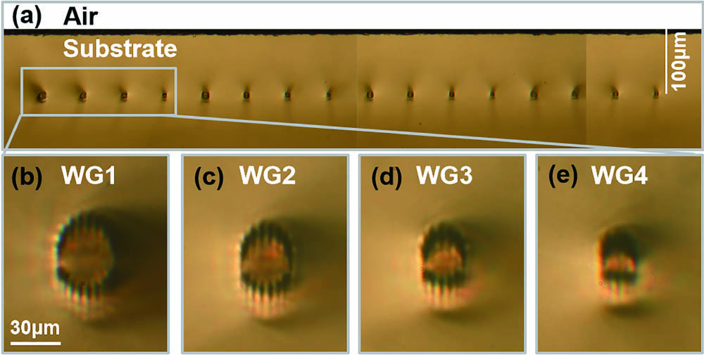 (a) Microscopic image of the end-facet of the Nd,Gd:CaF2 sample with 16 cladding WGs deeply embedded beneath the surface. (b)–(e) The cross sections of WG1–WG4.