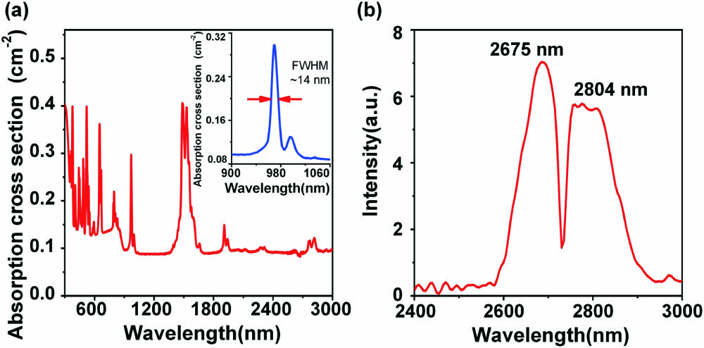 Room temperature spectral properties of Er,Pr:YLF crystal: (a) absorption cross section (inset: absorption cross section within the range of 900–1060 nm); (b) fluorescence spectrum.