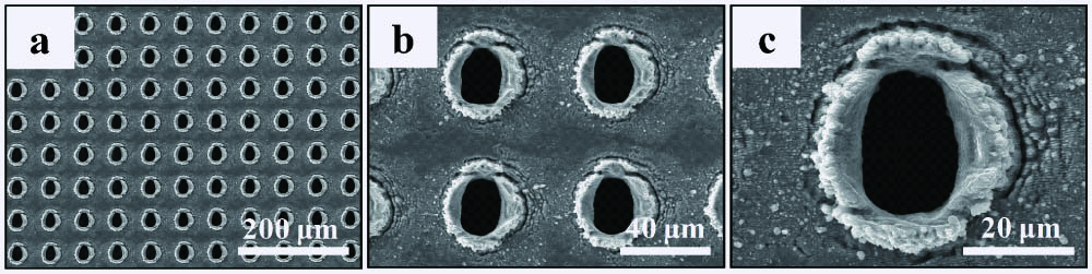 SEM images of fabricated sample with different magnification: (a) 200 times; (b) 800 times; (c) 2000 times.
