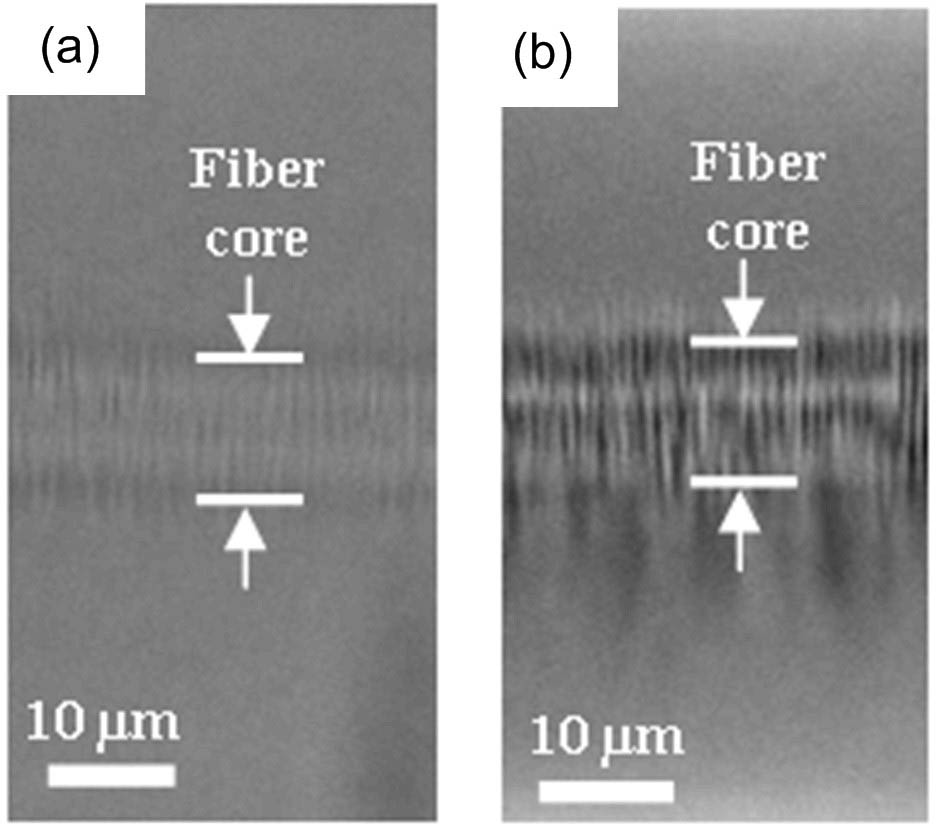 Optical microscope images of FBGs inscribed by IR fs lasers[13]. (a) Type I grating; (b) type II grating.