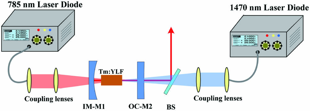 Experimental arrangement for the GSA and ESA dual-wavelength LD-pumped Tm:YLF laser. IM, input mirror; OC, output coupler; BS, beam splitter.