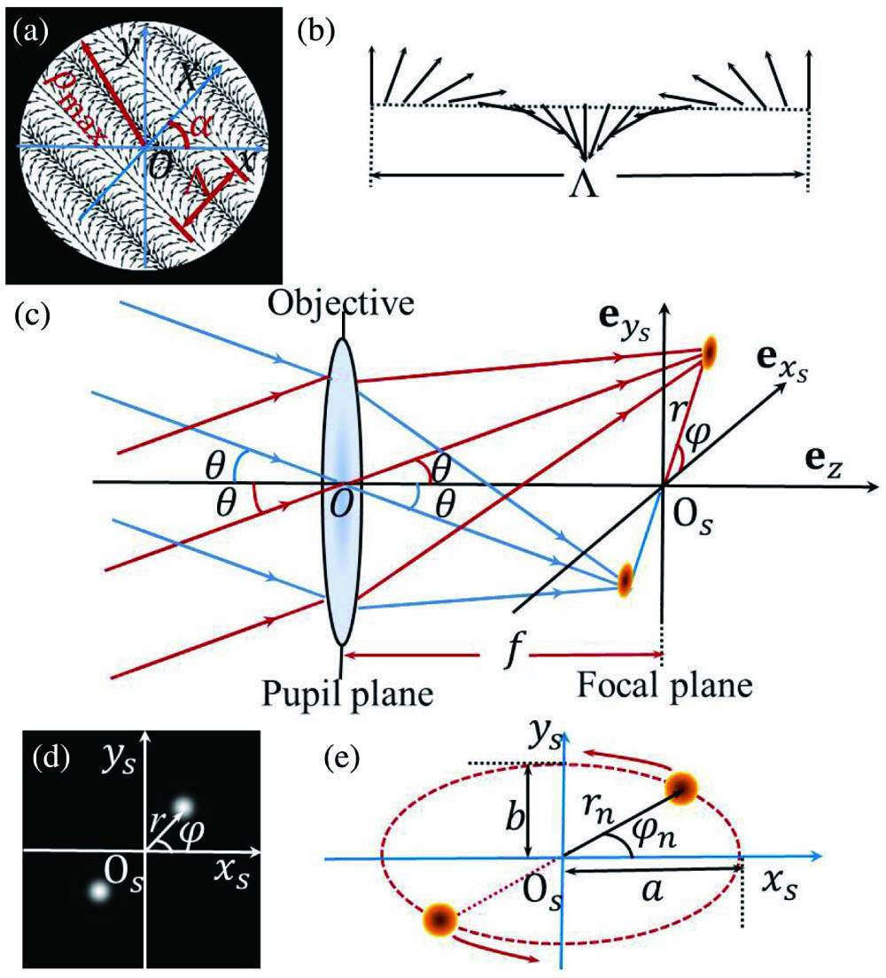 Realization of a two-spot focal intensity distribution. (a) Schematic diagram of the polarization distribution for the constructed optical field, (b) the polarization variation within one period, (c) the focusing of the constructed optical field with periodic variation in polarization along certain directions in the pupil plane, (d) the corresponding intensity distribution of the focal field, and (e) the formation of an elliptic focal trace.
