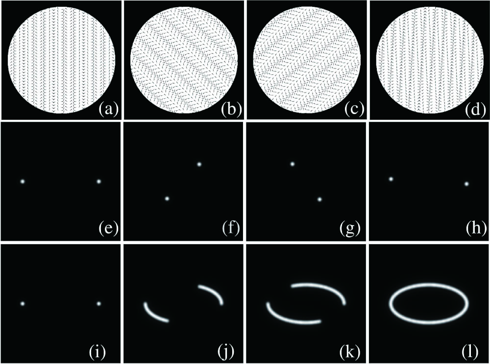 Schematic diagrams of the elliptic focal trace formation. (a)–(d) are the polarization distributions and the periodic variation of the constructed optical field, and n values are 1, 13, 25, and 37, respectively; (e)–(h) are the corresponding focal field distributions in the focal plane; (i)–(l) are the corresponding produced focal traces when n are 1, 13, 25, and 37, respectively. The size of (e)–(l) is 25 × 25λ2.