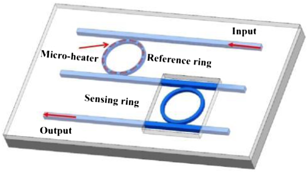 Cascaded double-ring resonator sensor schematic.