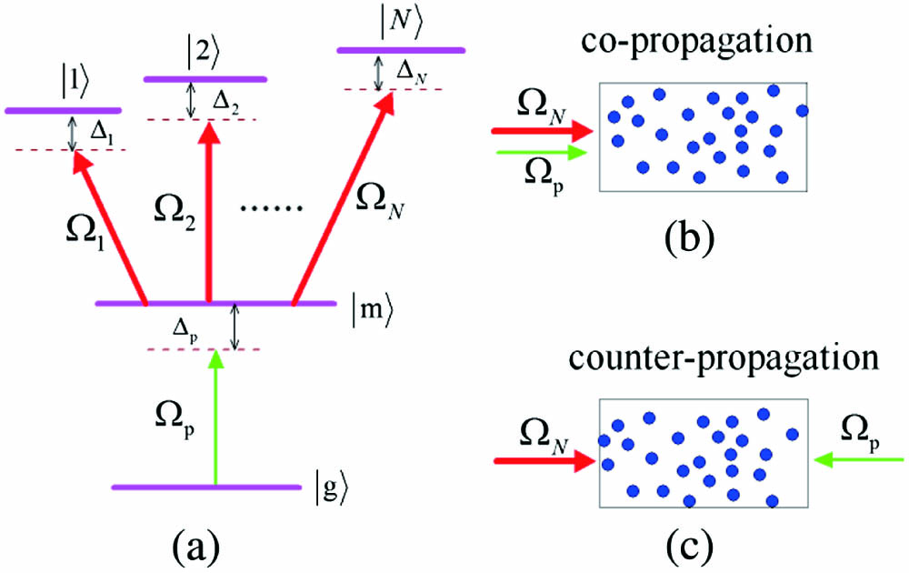 Interaction of the laser fields and the multi-level atomic systems. (a) Laser coupling scheme, (b) co-propagation, and (c) counter-propagation setups of the probe field and the strong coupling fields.
