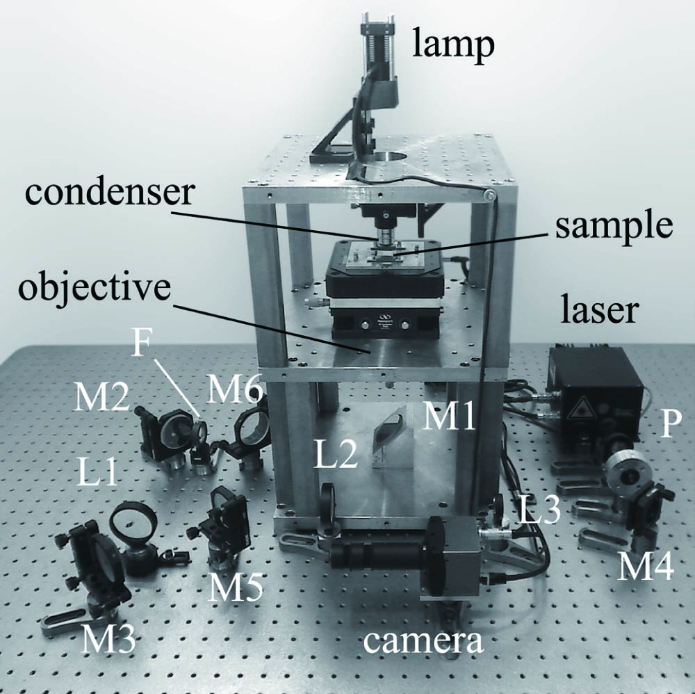 Optical levitation system based on one traditional desktop laser from the group of Pesce[18] (M, 45° mirror; L, lens; F, filter; P, polarizer).