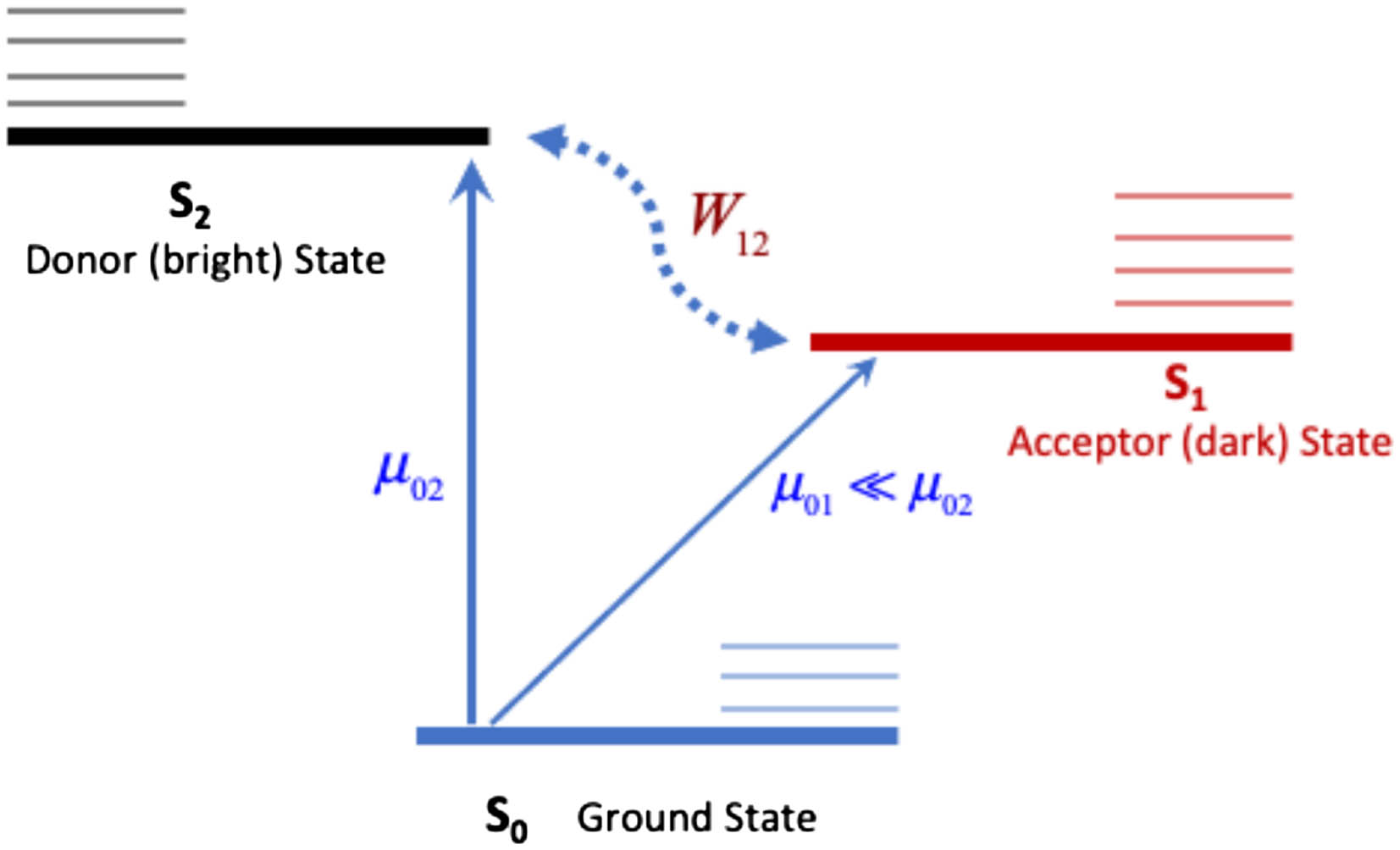 Schematic view of the three-state model used for pyrazine. The ground state S0 is indicated in thick solid blue line. The bright donor state S2 is a thick solid black line, and the dark acceptor state S2 is a thick solid red line. The thin horizontal lines are for the corresponding vibrational states. The interstate coupling W12 in the dotted blue line and the transition dipole moments µ01 and µ02 are also indicated.
