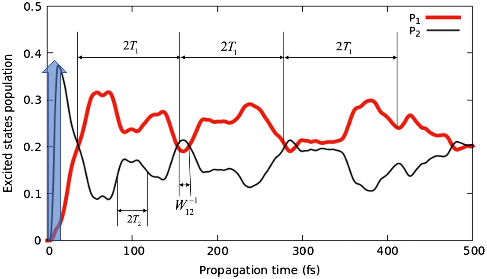 Excited states populations as a function of propagation time in a minimal 2D model involving the CI branching space. P2 and P1 are, respectively, indicated by thin black and thick red solid lines. The blue vertical arrow at t = 0 symbolizes the vertical launching of the v = 0 wavepacket from the initial state S0. T1 and T2 are, respectively, the vibrational periods of the excited states S1 and S2. W12−1 is a notation for the CI characteristic transfer time.