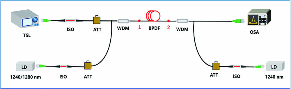 Experimental setup of the single stage BPDF amplifier. Points 1 and 2 are fusion splicing joints between BPDF and WDMs.