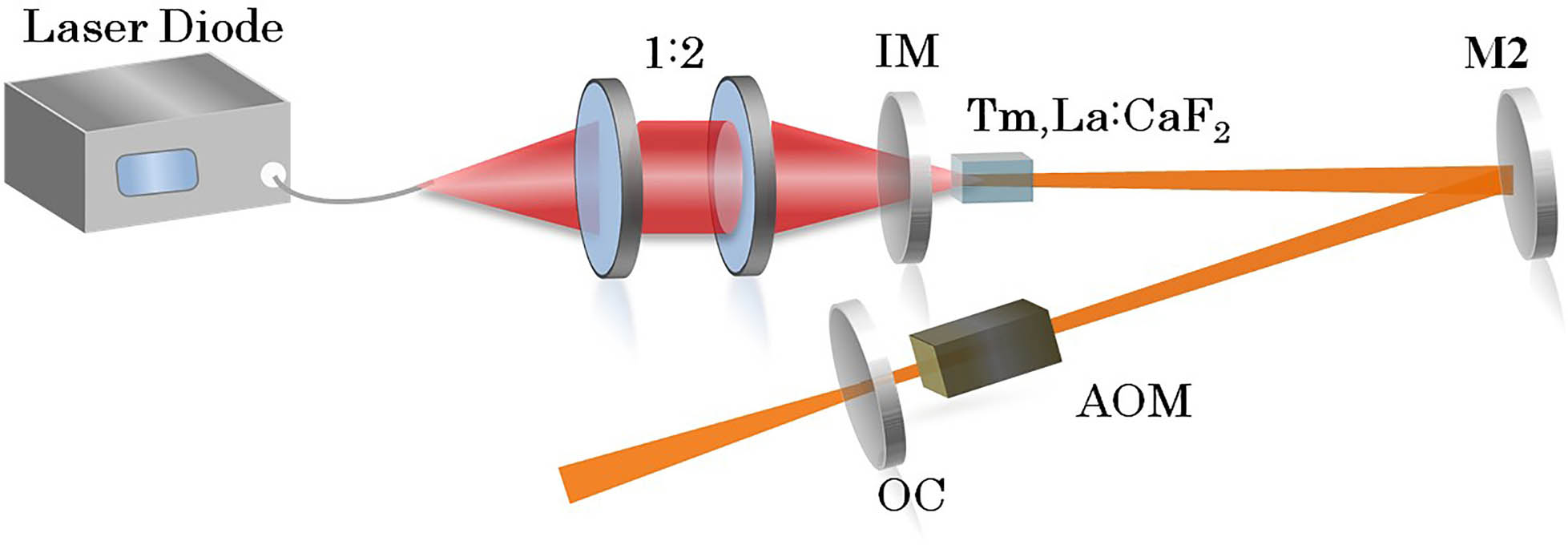 Schematic diagram of AO Q-switched Tm,La:CaF2 laser. AOM, acousto-optic modulator.