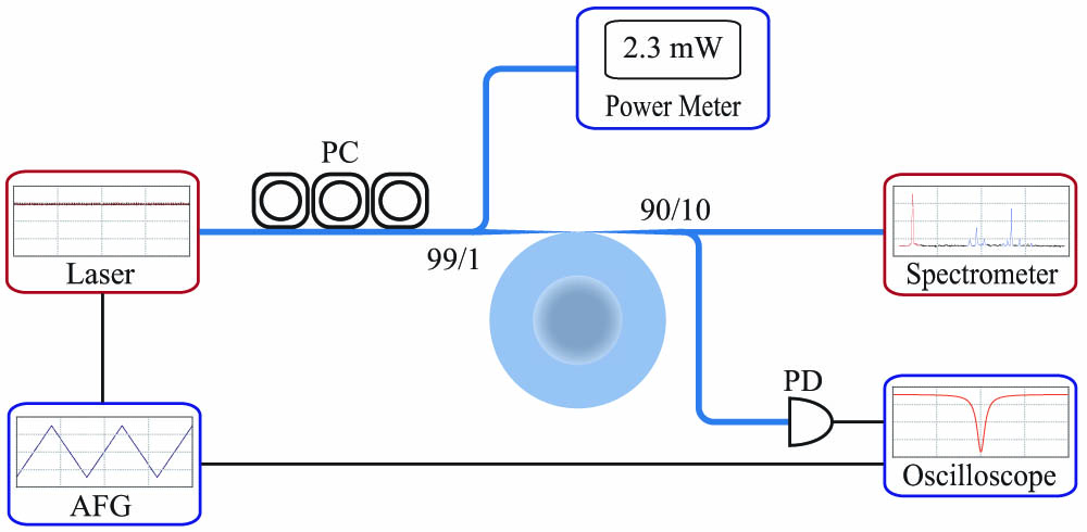 Schematic of the experimental setup to measure sum-frequency signals. An arbitrary function generator (AFG) is used to precisely control the output wavelength of the pump laser and to trigger the oscilloscope. The pump light passes through a fiber polarization controller (PC) and a beam splitter, and then couples into the LN WGM microcavity via a tapered fiber. The transmission of the pump is monitored by a photodetector connected to an oscilloscope. The tapered fiber that is used to couple the pump collects the nonlinear optical signals as well. The nonlinear optical signals are detected by a spectrometer.