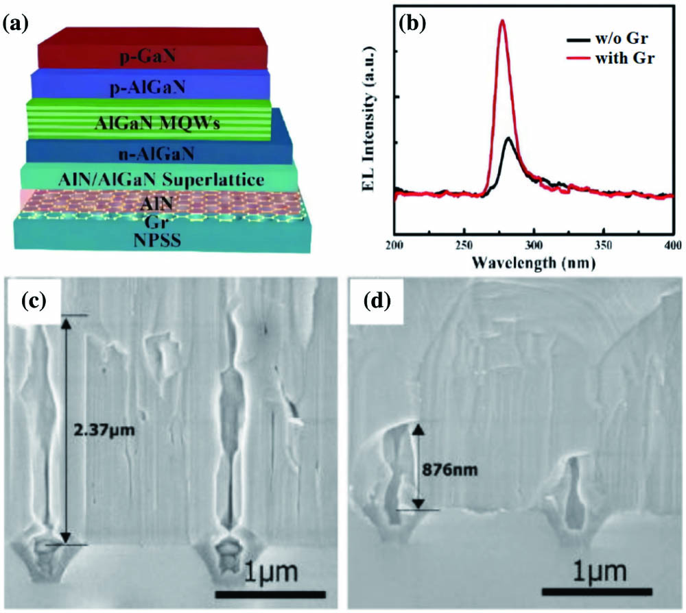 (a) Schematic diagram of the DUV LED grown on AlN/Gr/NPSS. (b) EL spectra of the DUV-LEDs with and without the Gr interlayer. Cross-sectional SEM images of AlN films on NPSS (c) without and (d) with the Gr interlayer. AlN has realized complete coalescence below a thickness of 1 µm in (d), which is less than half of the thickness (about 2.4 µm) on bare NPSS in (c). Reproduced with permission[17]. Copyright 2019, American Institute of Physics Publishing.