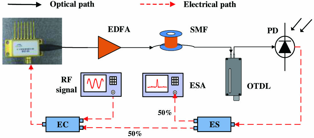 Schematic diagram of the proposed RF signal detection (EDFA, erbium-doped fiber amplifier; SMF, single mode fiber; OTDL, optical tunable delay line; PD, photodetector; EC, electrical coupler; ES, electrical splitter; ESA, electrical spectrum analyzer).