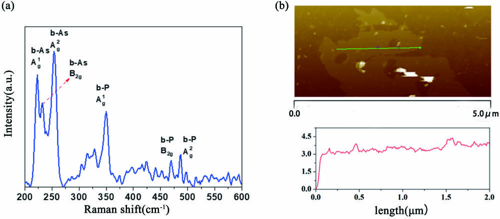 (a) Raman spectrum of b-AsP nanosheets. (b) AFM image and representative height profile of b-AsP nanosheets.