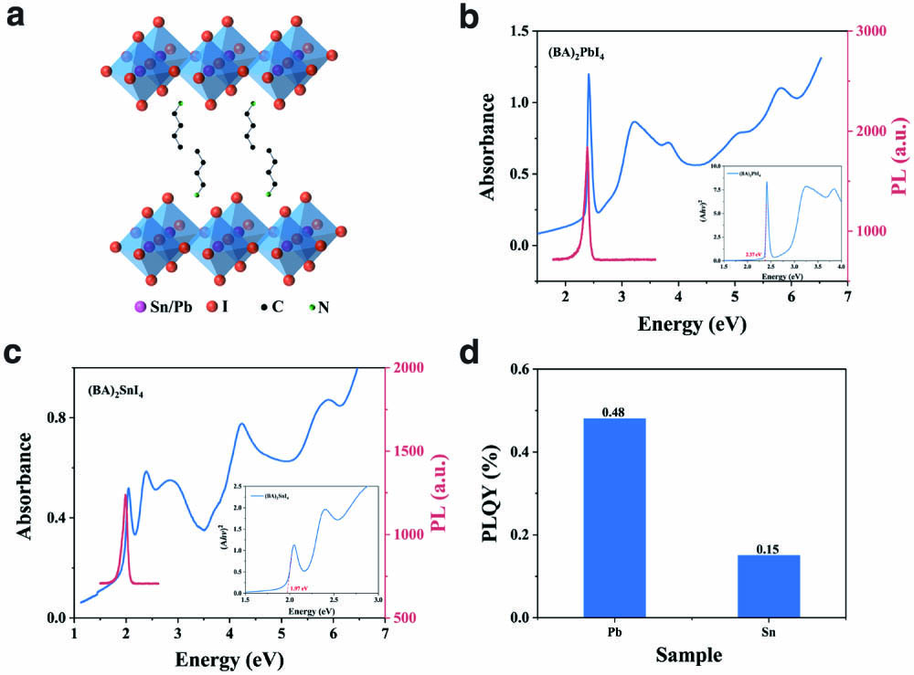 Spectral characteristics of (BA)2BI4 (B: Sn/Pb) perovskites. (a) Schematic of the hybrid quantum-well structure of the crystal structure, showing the perovskite octahedra sandwiched between organic spacer molecules (BA+). The UV-visible (UV-Vis) absorption, steady-state photoluminescence (PL) spectra of (b) (BA)2SnI4 and (c) (BA)2PbI4. (d) PLQY of (BA)2SnI4 and (BA)2PbI4.