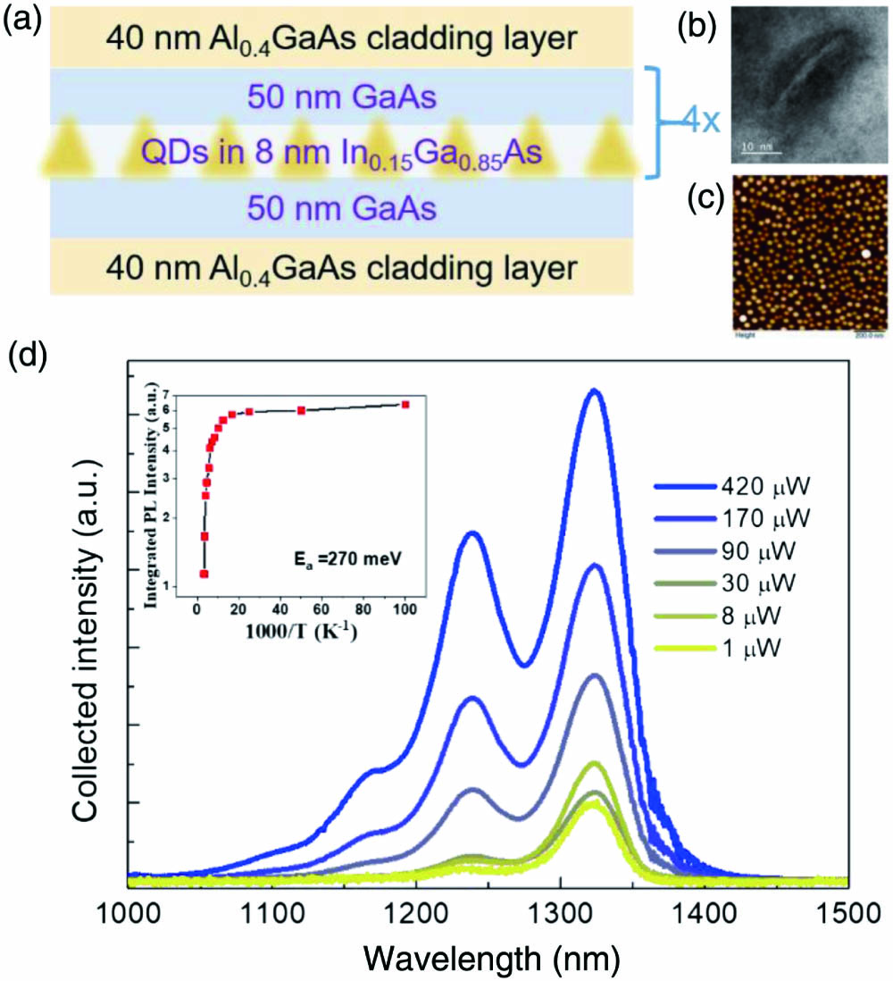 (a) Schematic epitaxial structure of the active region with total thickness of ∼ 362 nm. (b) A high-resolution TEM image of a single InAs QD. (c) An AFM image of uncapped InAs/GaAs QDs. (d) Collected PL spectra of the as-grown structure under various input optical powers at room temperature. Inset: temperature dependent integrated PL intensity.