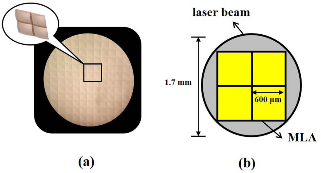 (a) Microscopic images of MLA. (b) Size of the MLA and collimated laser beam.
