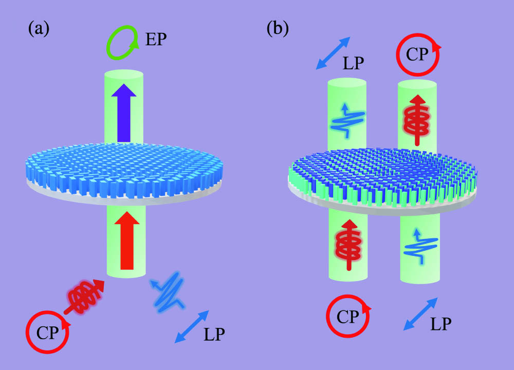 Polarization conversion under different polarized incidences. (a) Schematic of a metasurface with polarized conversion, which converts the LP waves or CP waves into specific EP waves and focuses on one point, simultaneously. (b) Schematic of the proposed polarizer that can realize the function of mutual polarization conversion between linear polarization and circular polarization by a design based on an all-silicon metasurface.