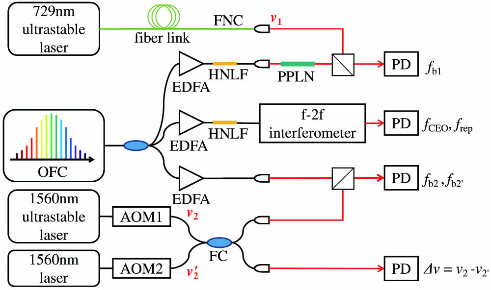 Optical set-up for the frequency transfer. FNC, fiber noise cancellation technique was applied to this fiber link; PPLN, periodically poled lithium niobate, which was used to generate the second harmonic of the OFC; EDFA, erbium-doped optical fiber amplifier, which was used to amplify the power of the OFC; HNLF, highly nonlinear fiber, which was used to expand the spectrum of the comb; PD, photodetector; AOM, acousto-optic modulator, which was used to shift the optical frequency; FC, fiber optic coupler, which was used to combine the two 1560 nm lasers.