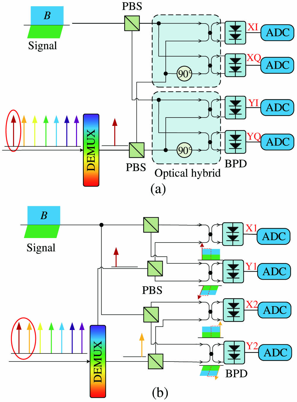 Configuration of (a) the ICR and (b) the proposed SHCR in OFC-based architecture. ADC, analog-to-digital converter; DEMUX, demultiplexer; PBS, polarization beam splitter.