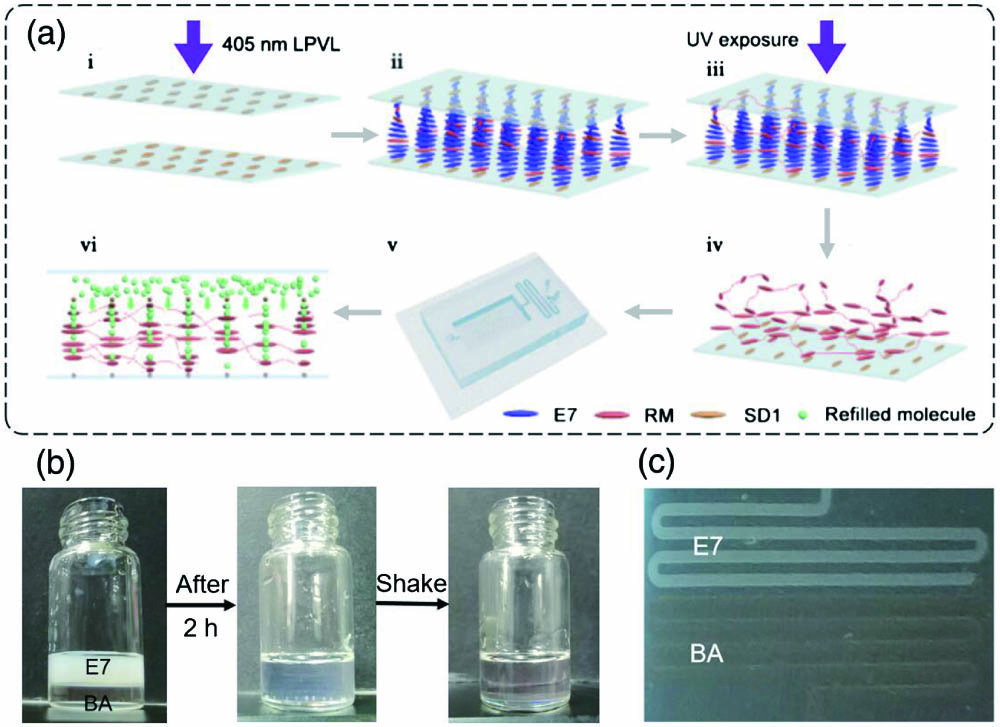 Microfluidic infiltration of PCLC networks. (a) Fabrication of PCLC networks enclosed with microchannel: (i) photoalignment with SD1 coated on glass substrates, (ii) self-assembly of CLCs into helical structures, (iii) UV-induced polymerization, (iv) cholesteric scaffolds after the wash-out procedure, (v) fabrication of microfluidic device, (vi) cholesteric scaffolds after the refill procedure. (b) Solubility test of E7 and BA in glass vial. (c) Stratification of E7 and BA in the serpentine channel of the microfluidic device.