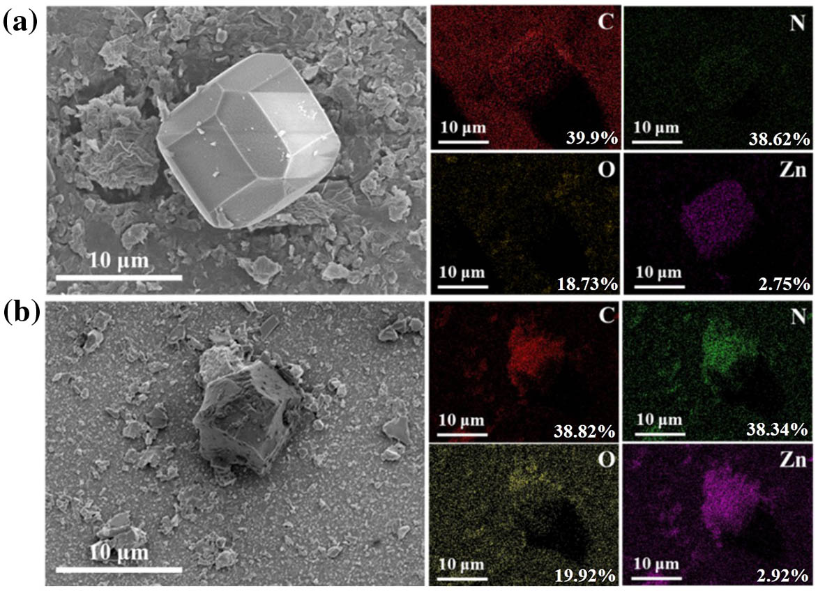 SEM images and elemental distribution of ZIF-8 (a) before and (b) after pressurization. The atomic percentage of each element is shown at the bottom right of the images.