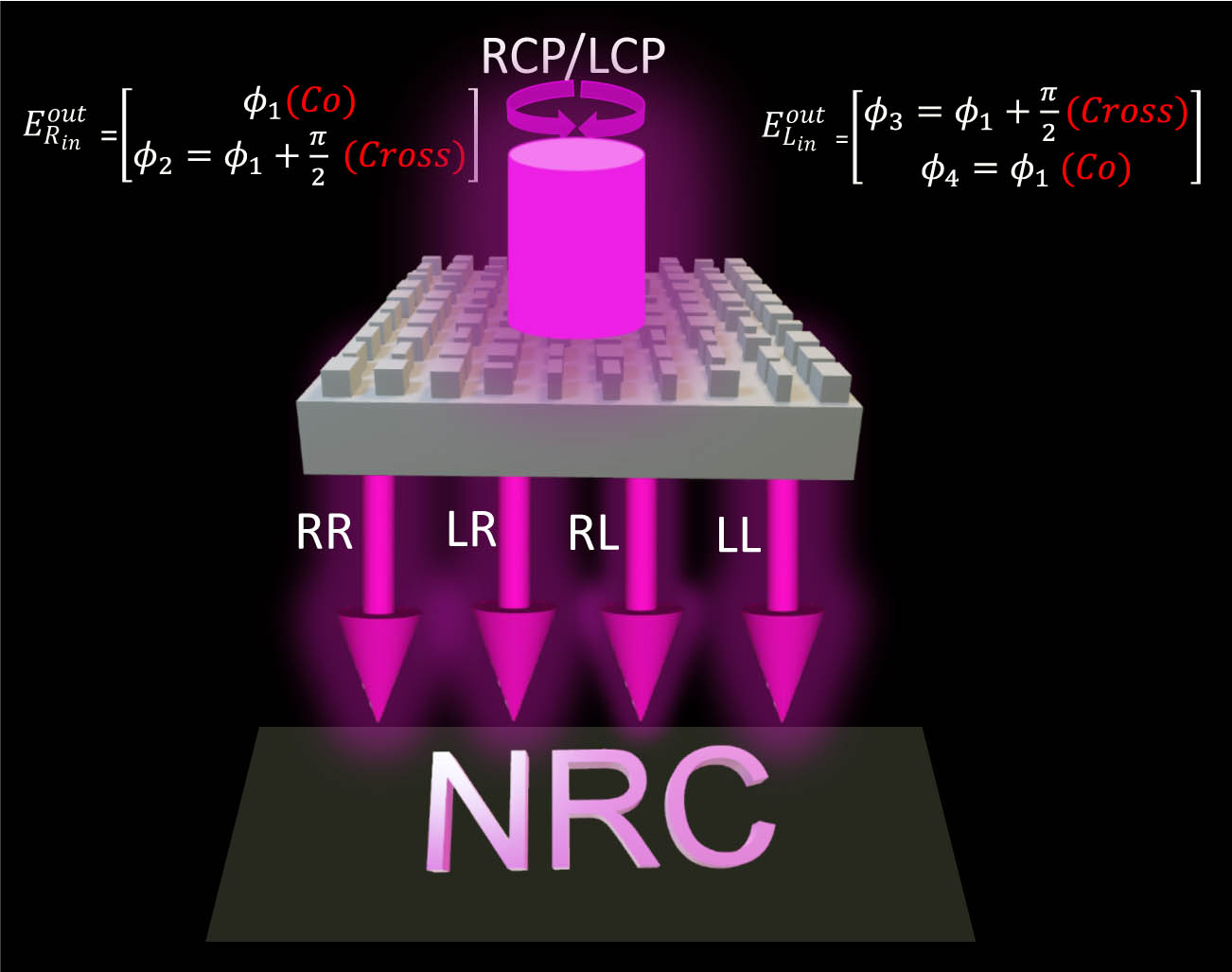 Schematic illustration of spin-insensitive meta-hologram. The proposed scheme reconstructs the identical image “NRC” regardless of the spin of the incident and transmitted light.