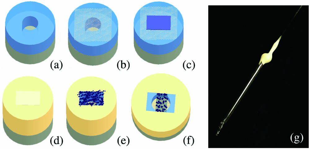 Process of device fabrication: (a) splicing the capillary glass tube (light blue) with the single-mode optical fiber (gray) and cutting it to a predetermined length (∼50 µm); (b) transferring the graphene membrane; (c) covering the air core of the capillary glass tube with UV glue film; (d) riveting the graphene with a ∼100-nm-thick gold film coating via magnetron sputtering; (e) removing the UV glue film and attaching the SPIONs onto the graphene; (f) cutting the integrated SPIONs-graphene sheet in a rectangular shape via a femtosecond laser; (g) optical microscopy image of the SPIONs-integrated magnetic field fiber-tuned GMR encapsulated in a glass tube.