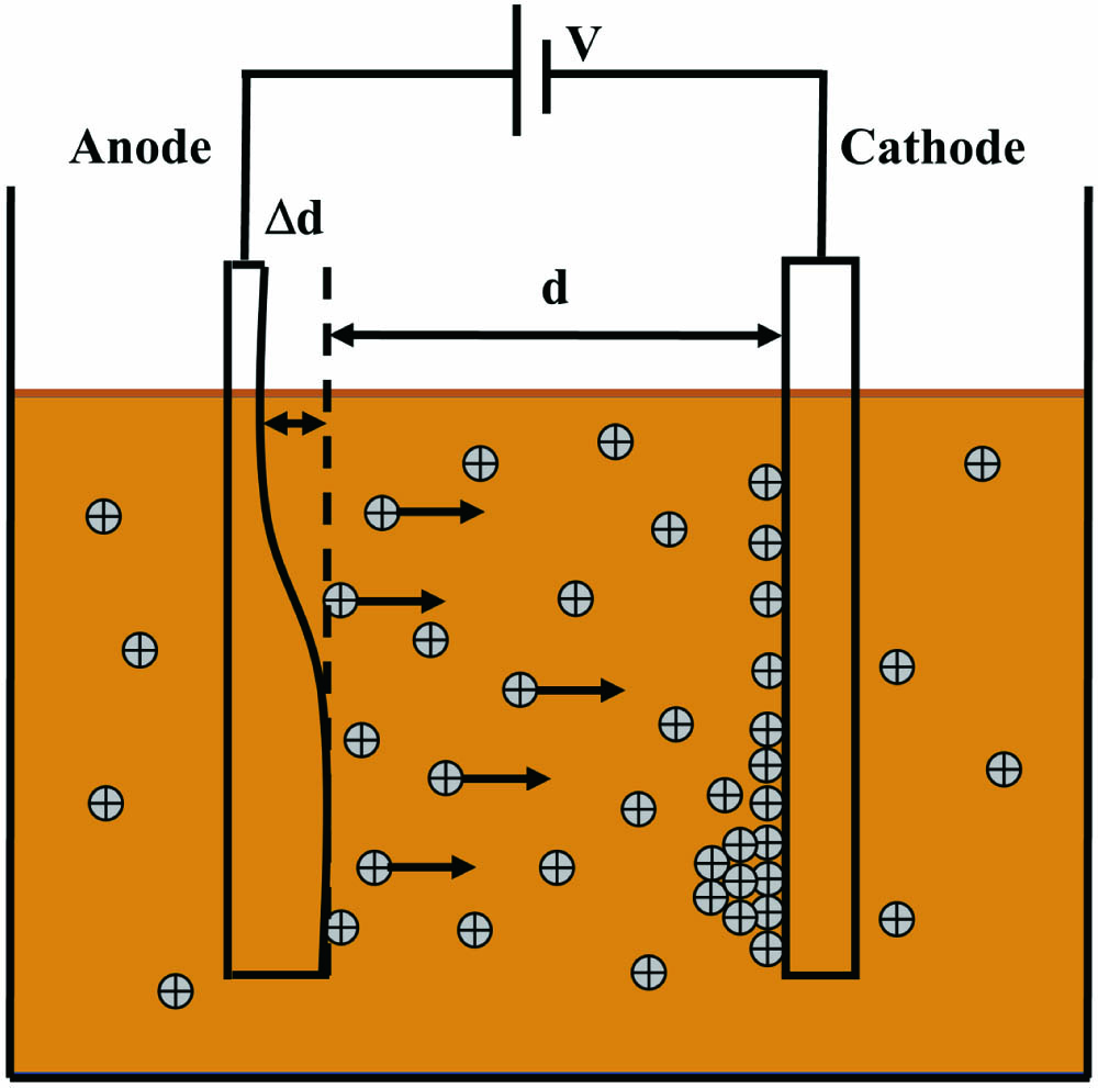 Schematic diagram showing the electrodeposition process.