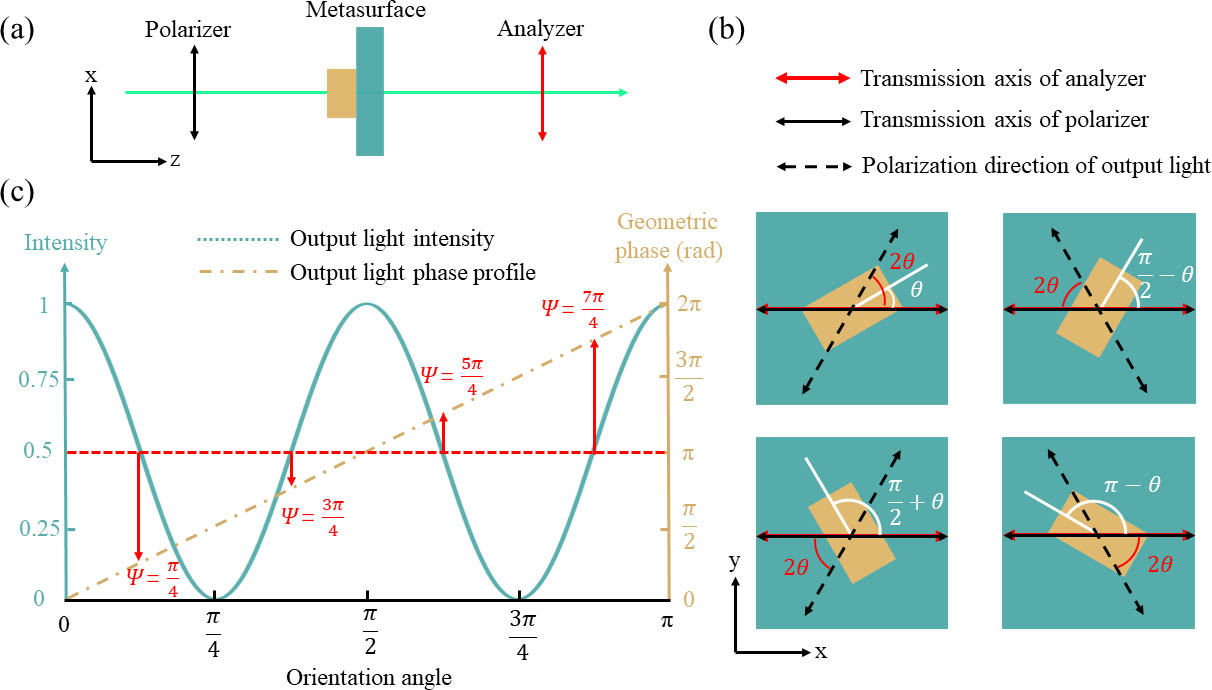 Working principles of cascaded metasurfaces for separated encryption. (a) Working optical path to encrypt the nanoprinting image; the black and red two-way arrows represent the polarization direction of polarizer and analyzer, respectively, and the incident light propagates along the z axis. (b) Orientation distribution generating the equal output light intensity; (c) curves for the output intensity and the generated geometric phase by metasurfaces with different orientation angles; for a given optical intensity, there are four orientation choices to generate different geometric phases. As an example, the intersections of the red dashed line and the output light intensity curve represent for the same output light intensity 0.5, but different output light phase profiles. The output light phase profiles can be chosen to be π/4, 3π/4, 5π/4, or 7π/4.