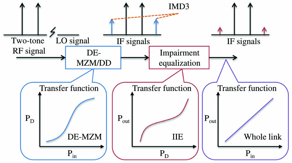 Simplified diagram of linearized downconversion link and corresponding signal spectra and transfer characteristics. DE-MZM/DD, dual-electrode Mach–Zehnder modulated direct detection; IMD3, third-order intermodulation distortion; IIE, intelligent impairment equalization; RF, radio frequency; IF, intermediate frequency.