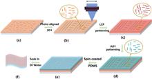 Flexible high-resolution thin micropolarizers for imaging polarimetry