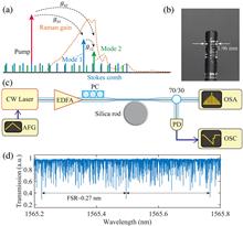 Transverse mode interaction-induced Raman laser switching dynamics in a silica rod microresonator