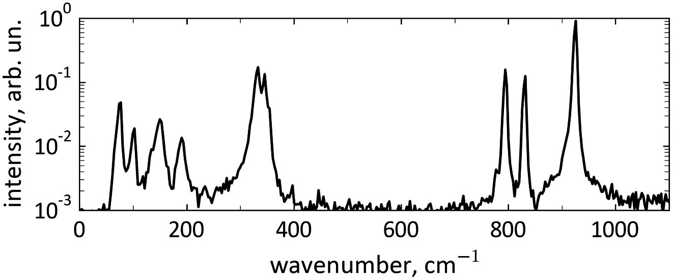 Spontaneous Raman spectrum of the BWO crystal when k and E are perpendicular to the c axis.