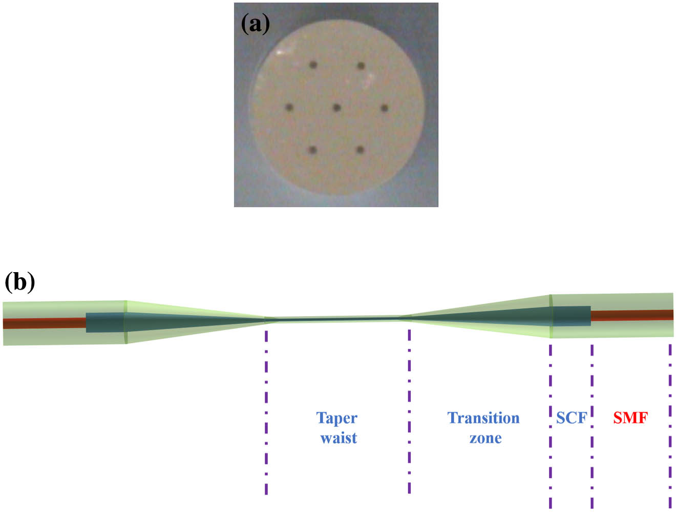 (a) Schematic diagram of the seven-core fiber; (b) schematic of the MZI filter based on tapered seven-core fiber.