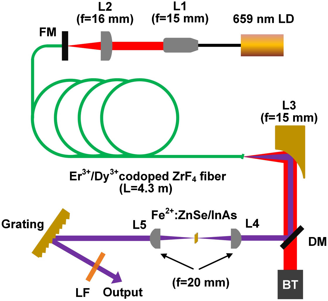 Experimental setup of the tunable Q-switched Er3+/Dy3+ codoped ZrF4 fiber laser using the Fe2+:ZnSe crystal or InAs SA. LD, laser diode; L1 and L2, aspheric lenses; L3, off-axis parabolic reflector; FM, front mirror; DM, dichroic mirror; L4 and L5, CaF2 plano-convex lenses; LF, longpass filter; BT, beam trap.