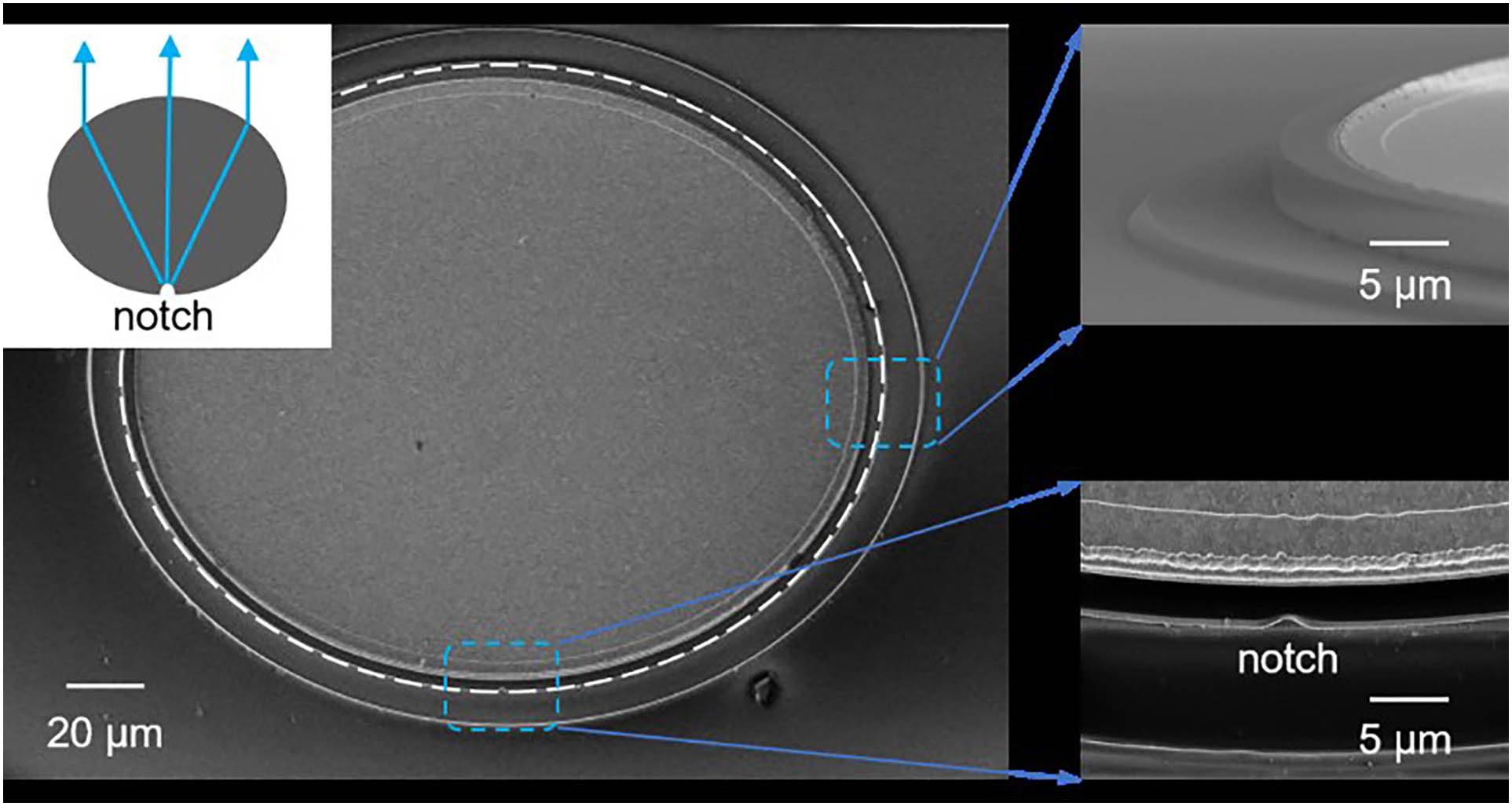 Scanning electron microscope image of the notched elliptical resonator. The white line is the cavity boundary. The upper left inset shows the schematic illustration of the notched elliptical resonator. The right inset shows the smooth sidewall of the laser cavity and a detail of the cavity.