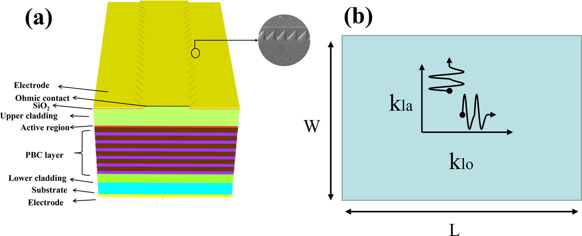 (a) Schematic diagram of SSC laser. The inset is the scanning electron microscope (SEM) image of the fabricated SSC structure. (b) Sketch of a rectangular F–P cavity of length L and width W. The wave vector can be separated into longitudinal and lateral components klo and kla, respectively.