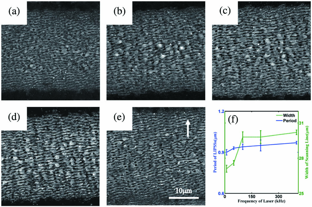 SEM images of subwavelength ripples induced by femtosecond laser pulses under repetition rates of (a) 10 kHz, (b) 50 kHz, (c) 100 kHz, (d) 200 kHz, and (e) 400 kHz at a pulse overlapping rate of 91%; (f) period of ripples and width of the scanning line as a function of repetition rate (SEM magnification, 2000; scale bar, 10 µm; white arrow, laser polarization).