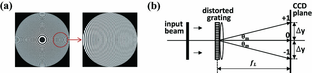 (a) Schematic of the distorted grating and (b) geometric relationship of the ±1st diffraction order imaging positions.