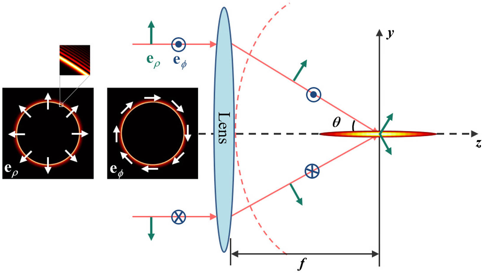 Schematic of the tight focusing of the CPBB, where the insets denote the amplitude and the polarization profiles of the input beam, the green and blue markers denote the radial (eρ) and azimuthal (eφ) polarizations, and θ denotes the angle between the focused ray and the z-axis.