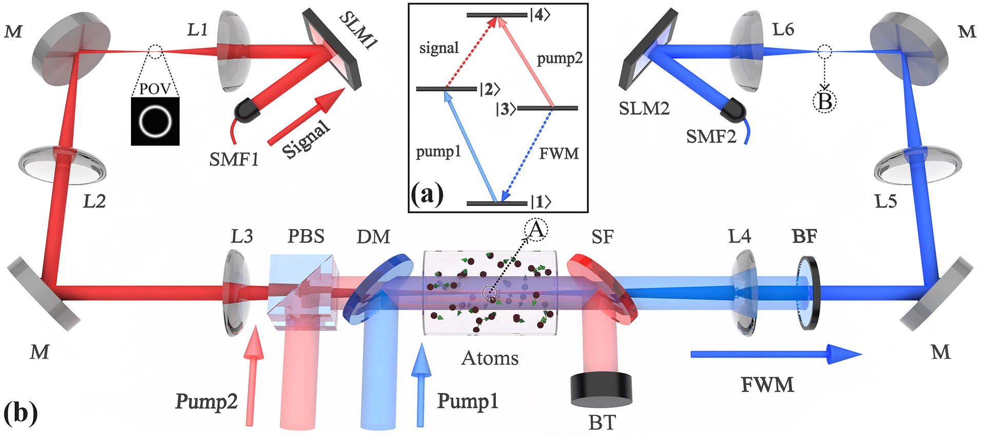 (a) Energy diagram of the diamond configuration. (b) The schematic diagram of the experimental setup. SLM 1 and SLM 2, spatial light modulator; PBS, polarizing beam splitter; DM, long-pass dichroic mirror; SF, short-pass filter; BF, band-pass filter; BT, beam traps; SMF 1 and SMF 2, single-mode fiber; M, mirror. The focal lengths of lenses L1, L2, L3, L4, L5, and L6 are 75, 150, 150, 150, 150, and 75 mm, respectively.