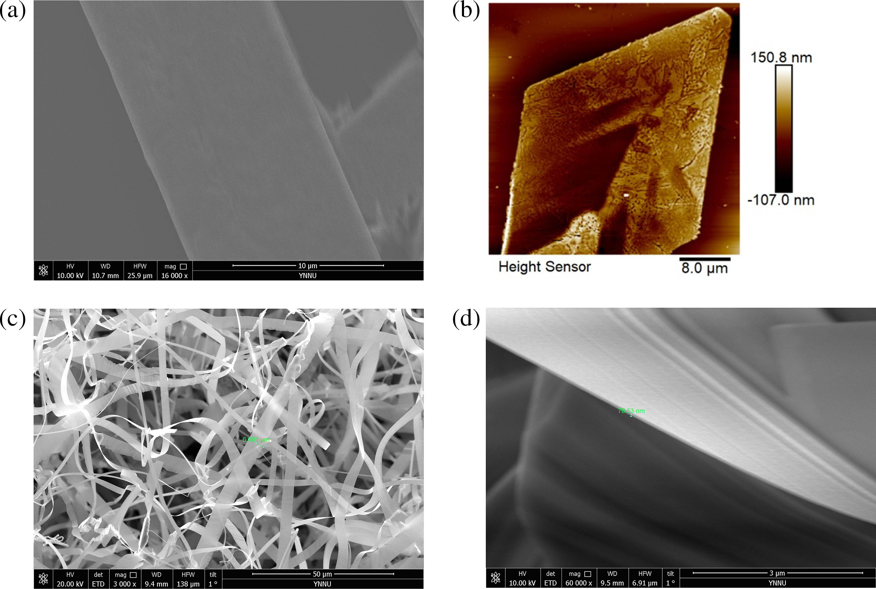 SEM and AFM images of FAPbBr3 NS and CdS NBs. (a) SEM image of FAPbBr3 nanosheet; (b) AFM image of a single FAPbBr3 nanosheet; (c) SEM image of CdS NBs; (d) cross section of CdS NBs.