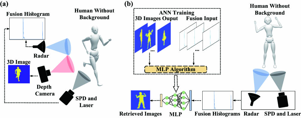 3D imaging with fusion data. (a) Data acquisition process; (b) 3D images recovery process; in the 3D images recovery process, the ANN training is performed only once, and then the MLP algorithm can directly reconstruct the 3D image from the temporal histogram. The radar represents the millimeter-wave radar. The human moves in an empty room.